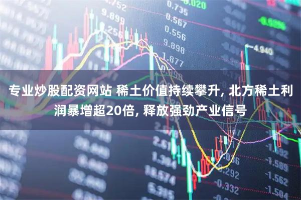 专业炒股配资网站 稀土价值持续攀升, 北方稀土利润暴增超20倍, 释放强劲产业信号
