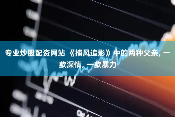 专业炒股配资网站 《捕风追影》中的两种父亲, 一款深情, 一款暴力