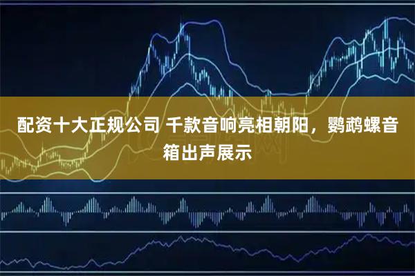 配资十大正规公司 千款音响亮相朝阳，鹦鹉螺音箱出声展示